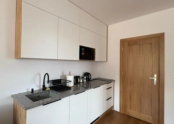 Nad Stawami דירה *